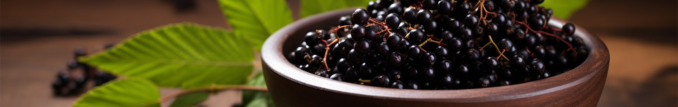 Elderberry