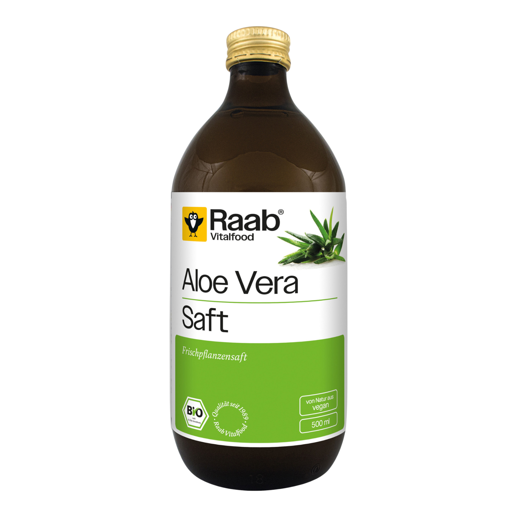 aloe vera pflanze für zuhause Aloe vera (Echte Aloe) kaufen main image 1