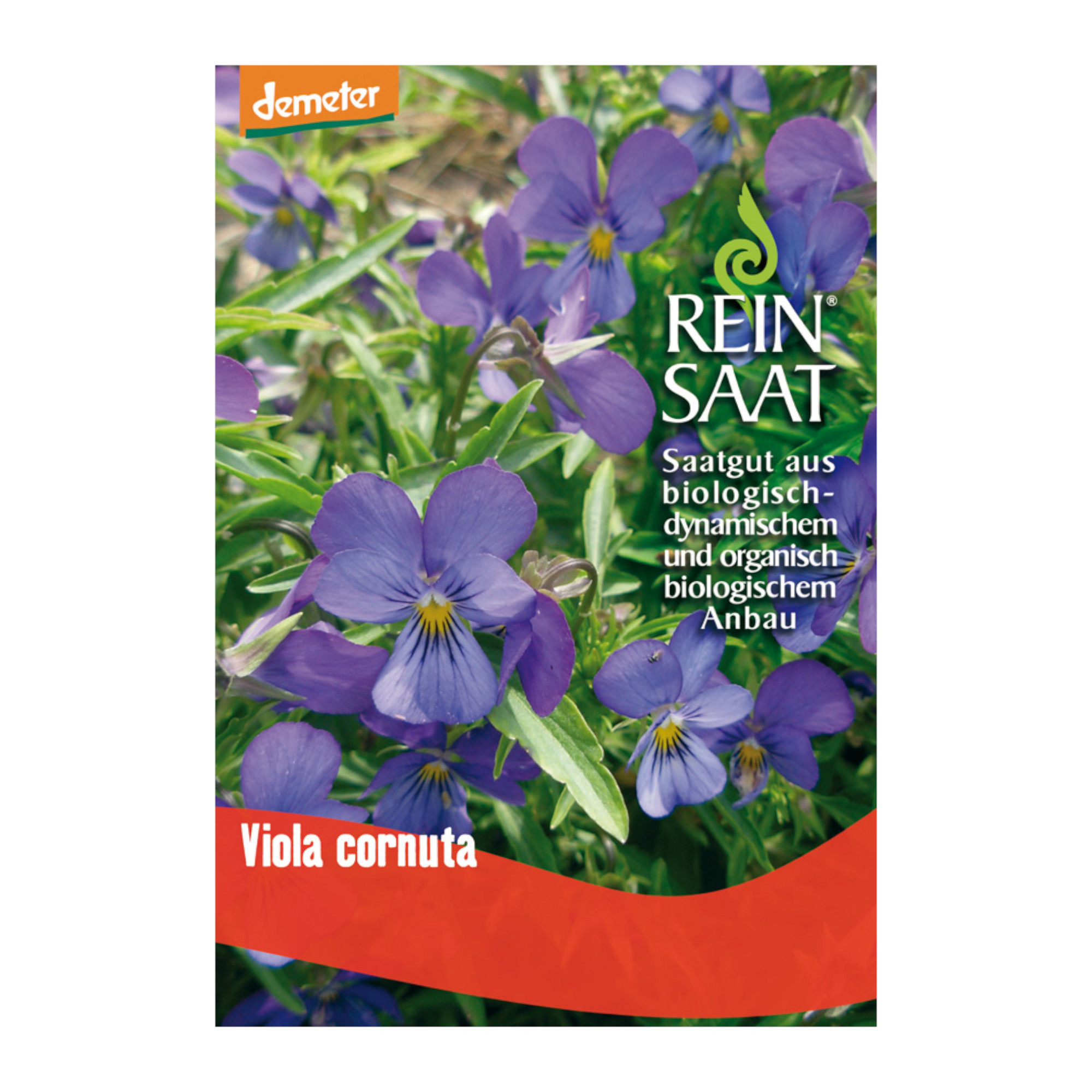 Bio Hornveilchen Saatgut - 1 Beutel - 5er Vorteilspack von Reinsaat - jetzt  online bestellen!