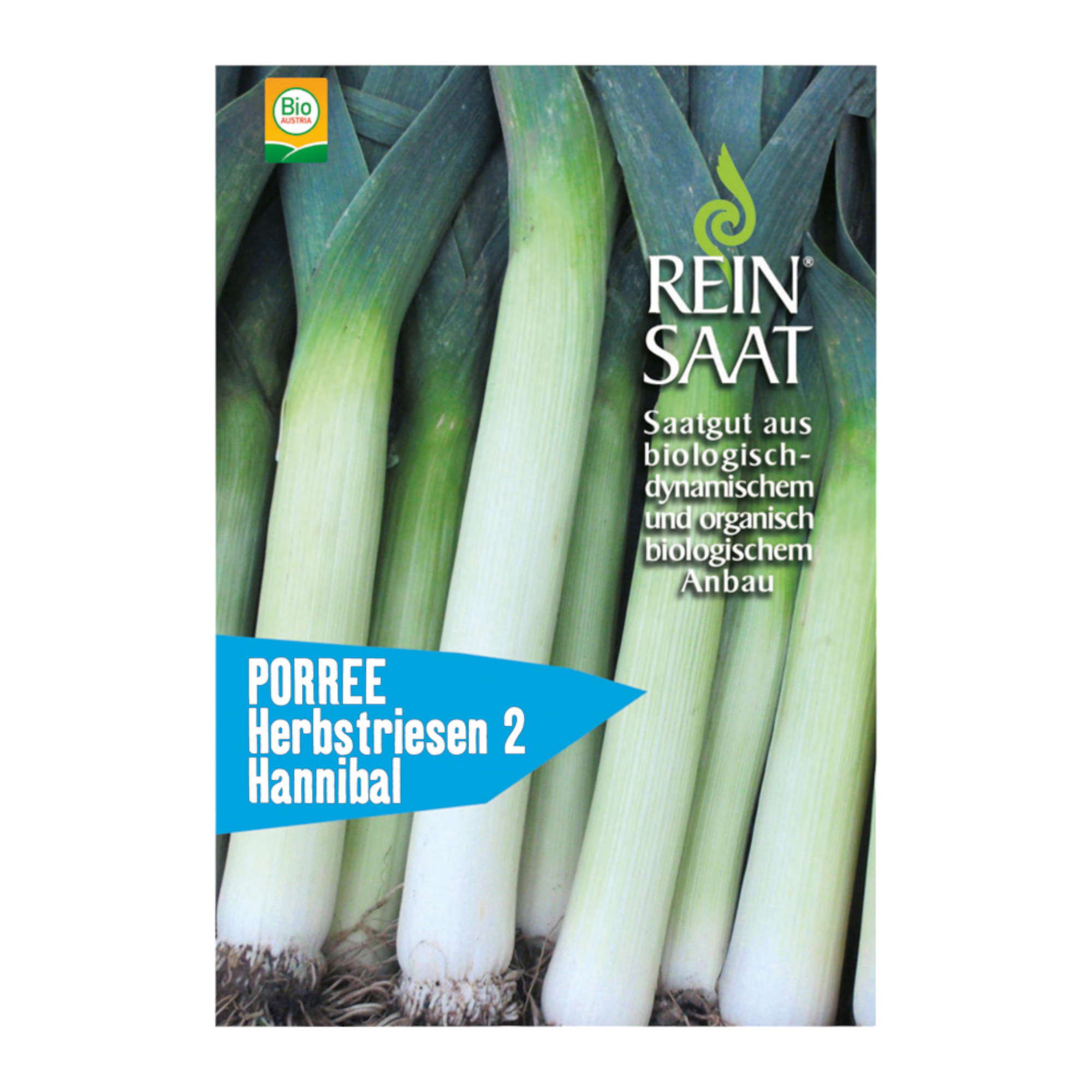 Bio Porree Herbstriesen Hannibal Saatgut - 1 Beutel - 5er Vorteilspack von  Reinsaat - jetzt online bestellen!