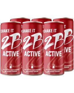 2B ACTIVE Drink 250ml 6er Pack - Natürlicher Power Booster - Mehrfrucht-Funktionsgetränk mit Süßungsmittel und 50 Prozent Fruchtanteil - ohne Zuckerzusatz