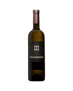 Sauvignon Blanc Ficcanaso 2020 750ml von Villa Liverzano