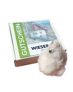 Auszeit Geschenkbox Gutschein Alpakawanderung mit weißem Kuschelalpaka - Geschenkidee für Tierliebhaber