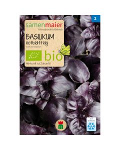 Bio Basilikum rotblättrig - 0.3 g Saatgut