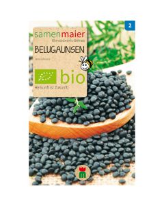 Bio Belugalinsen - Saatgut für zirka 100 Pflanzen