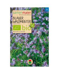 Bio Blauer Waldmeister - Saatgut für zirka 60 Pflanzen