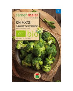Bio Brokkoli Calabrese natalino - Saatgut für zirka 20 Pflanzen