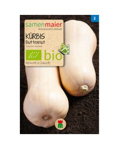 Bio Butternut Kürbis - Saatgut für zirka 5 Pflanzen
