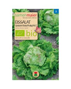 Bio Eissalat Grazer Krauthäuptel 2 - Saatgut für zirka 150 Pflanzen