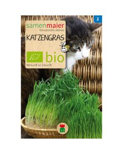 Bio Katzengras - 3.5 g Saatgut