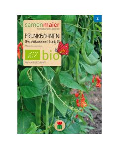 Bio Prunkbohnen - Feuerbohne Lady Di - Saatgut für zirka 10 Pflanzen