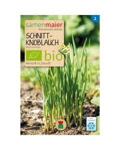 Bio Schnittknoblauch - Saatgut für zirka 30 Pflanzen