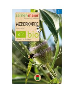 Bio Weberkarde - Saatgut für zirka 20 Pflanzen