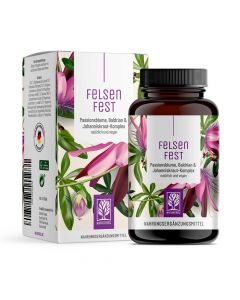 Felsenfest Passionsblumen-Komplex 90Stk