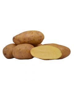 Kartoffel Ditta 5kg