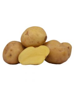 Kartoffel Martina 5kg
