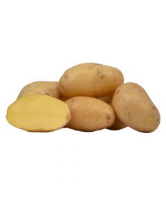 Kartoffel Monique 5kg