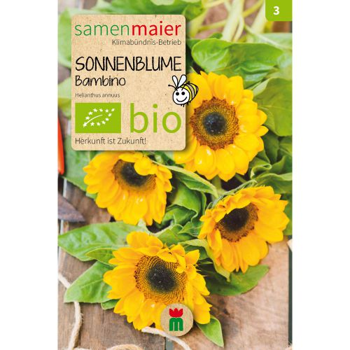 Bio Sonnenblume Bambino - Saatgut für zirka 20 Pflanzen