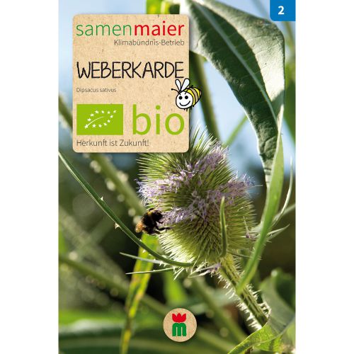 Bio Weberkarde - Saatgut für zirka 20 Pflanzen