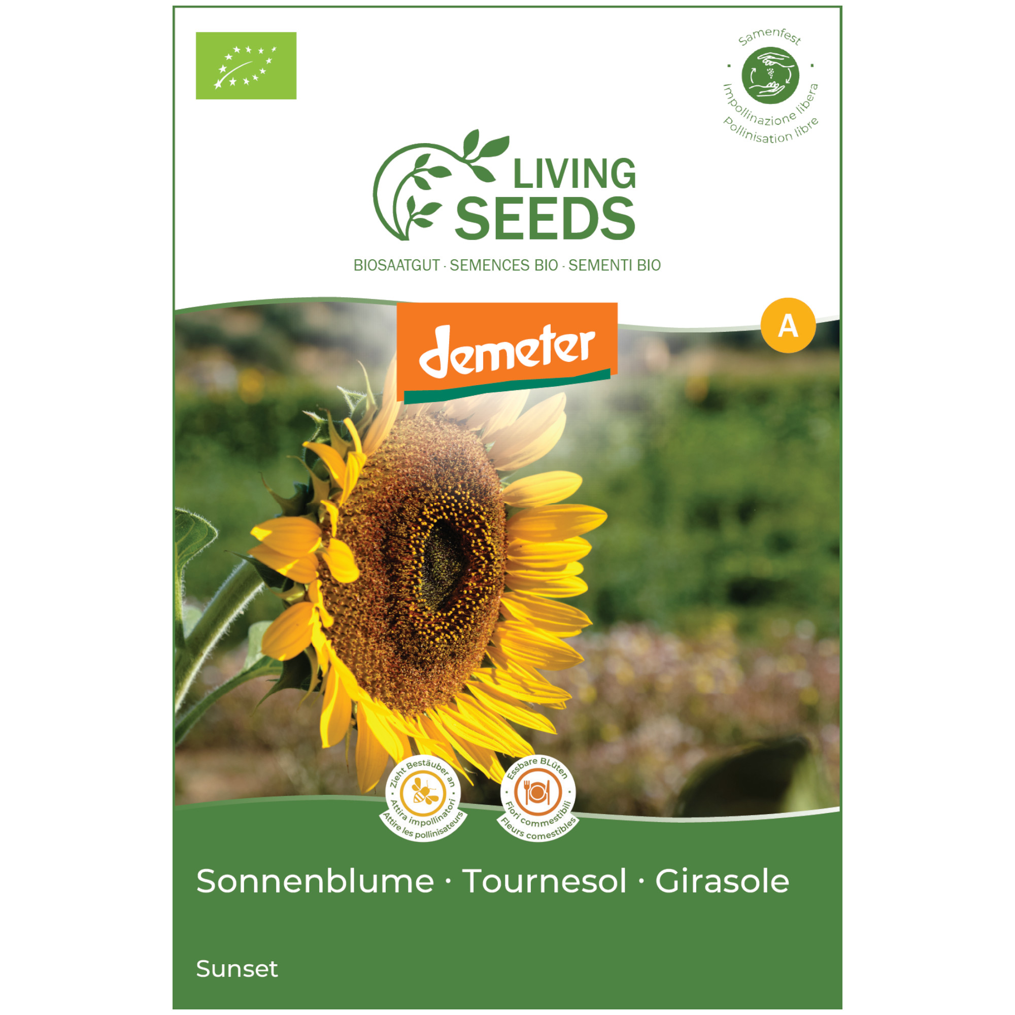 Bio Sonnenblume sunset 5.1g Saatgut von Living Seeds jetzt online kaufen!